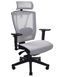 Крісло ERGO CHAIR 2 MESH BLACK, ергономічне, бежеве 02021 фото 1