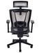 Крісло ERGO CHAIR 2 MESH BLACK, ергономічне, бежеве 02021 фото 5