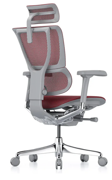 Ергономічне крісло MIRUS-IOO 2 (IOOE2-AG-HAM-5D-L, сітка T-168-B3 Scarlet) 113960 фото