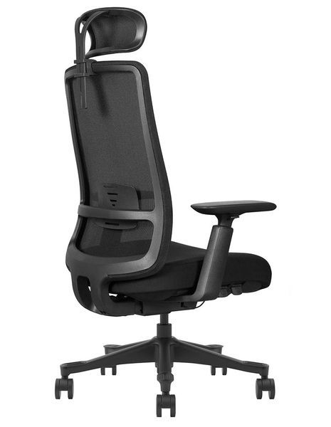Ергономічне крісло KRESLALUX V1-BH BLACK 03066 фото