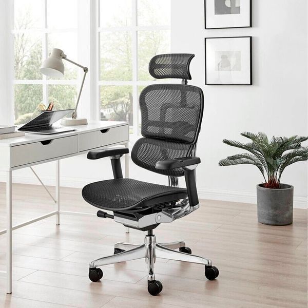 Ергономічне крісло ERGOHUMAN LUXURY 2 (EHL2-AB-HAM-5D-E-L, сітка Т-168-B1 Black) 113906 фото