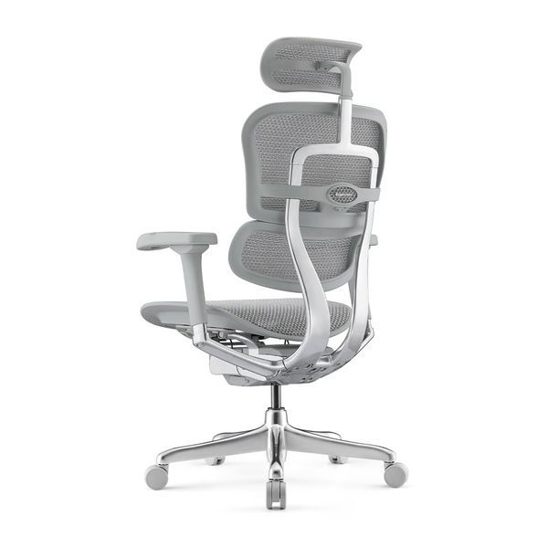Ергономічне крісло ERGOHUMAN ELITE 2 (EHE2-AG-HAM-5D-L, сітка T-168-B2 Natural) 01898 фото