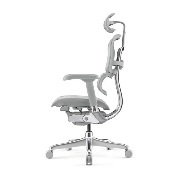 Ергономічне крісло ERGOHUMAN ELITE 2 (EHE2-AG-HAM-5D-L, сітка T-168-B2 Natural) 01898 фото