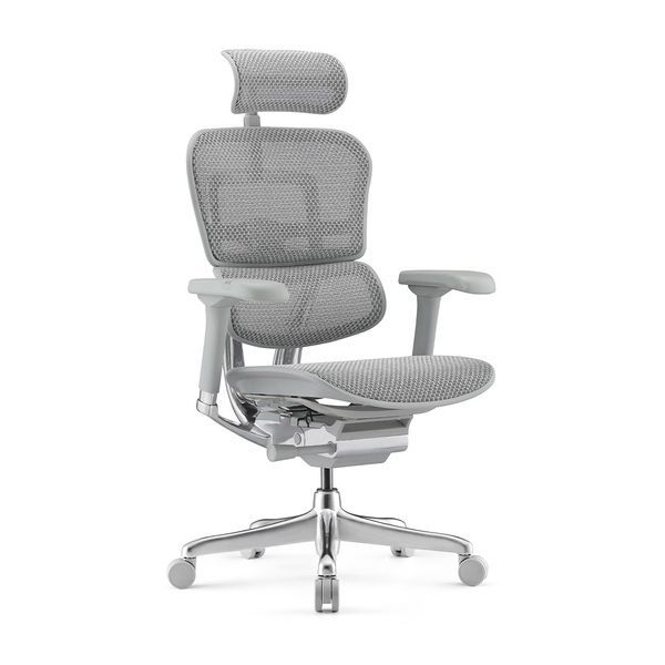 Ергономічне крісло ERGOHUMAN ELITE 2 (EHE2-AG-HAM-5D-L, сітка T-168-B2 Natural) 01898 фото