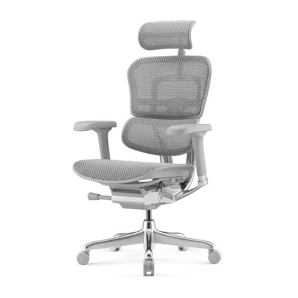Ергономічне крісло ERGOHUMAN ELITE 2 (EHE2-AG-HAM-5D-L, сітка T-168-B2 Natural) 01898 фото