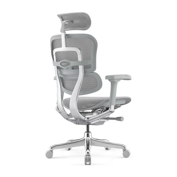 Ергономічне крісло ERGOHUMAN ELITE 2 (EHE2-AG-HAM-5D-L, сітка T-168-B2 Natural) 01898 фото
