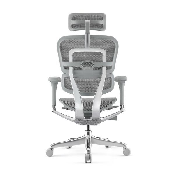 Ергономічне крісло ERGOHUMAN ELITE 2 (EHE2-AG-HAM-5D-L, сітка T-168-B2 Natural) 01898 фото
