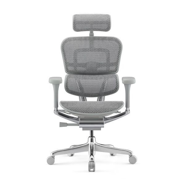 Ергономічне крісло ERGOHUMAN ELITE 2 (EHE2-AG-HAM-5D-L, сітка T-168-B2 Natural) 01898 фото