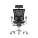 Ергономічне крісло MIRUS-IOO 2 (IOOE2-AG-HAM-5D-L, сітка Т-168-B1 BLACK) 113960 фото 1