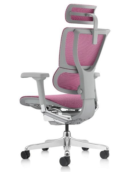 Ергономічне крісло MIRUS-IOO 2 (IOOE2-AG-HAM-5D-L, сітка Т-168-B5 PINK) 113960 фото