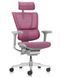 Ергономічне крісло MIRUS-IOO 2 (IOOE2-AG-HAM-5D-L, сітка Т-168-B5 PINK) 113960 фото 1