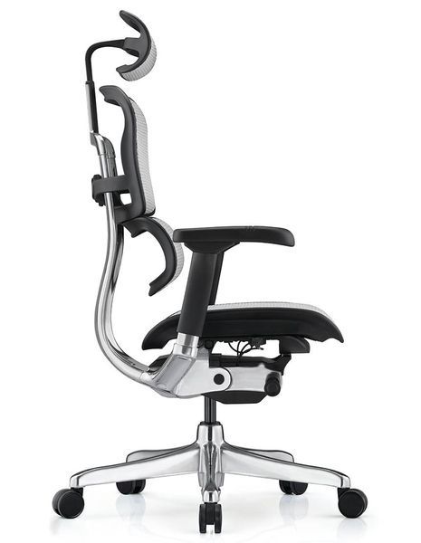 Ергономічне крісло ERGOHUMAN LUXURY 2 (EHL2-AB-HAM-5D-E-L, сітка Т-168-B2 Natural) 113906 фото