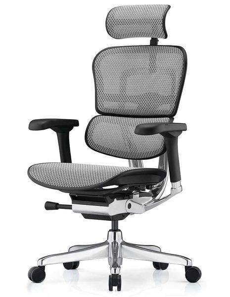 Ергономічне крісло ERGOHUMAN LUXURY 2 (EHL2-AB-HAM-5D-E-L, сітка Т-168-B2 Natural) 113906 фото