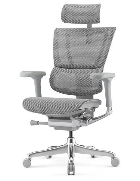 Ергономічне крісло MIRUS-IOO 2 (IOOE2-AG-HAM-5D-L, СІТКА Т-168-B2 NATURAL) 113960 фото