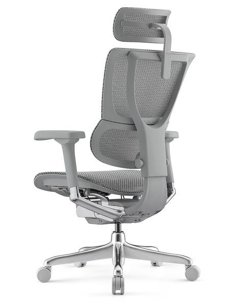 Ергономічне крісло MIRUS-IOO 2 (IOOE2-AG-HAM-5D-L, СІТКА Т-168-B2 NATURAL) 113960 фото