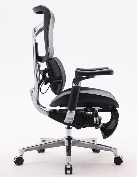 Ергономічне крісло SIHOO DORO-S300 BLACK 03144 фото