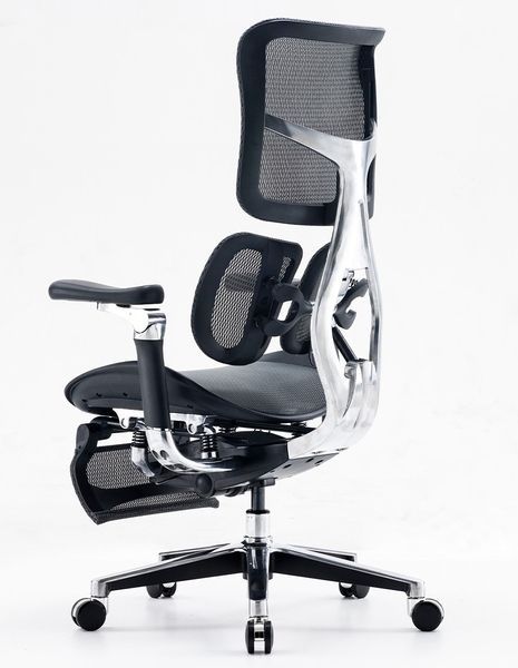 Ергономічне крісло SIHOO DORO-S300 BLACK 03144 фото