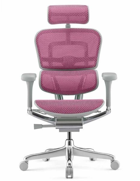 Ергономічне крісло ERGOHUMAN ELITE 2 (EHE2-AG-HAM-5D-L, сітка T-168-B5 Pink) 01899 фото