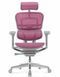 Ергономічне крісло ERGOHUMAN ELITE 2 (EHE2-AG-HAM-5D-L, сітка T-168-B5 Pink)