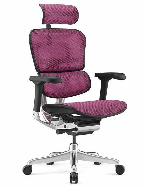 Ергономічне крісло ERGOHUMAN ELITE 2 (EHE2-AB-HAM-5D-L, сітка T-168-B5 Pink) 02740-1 фото