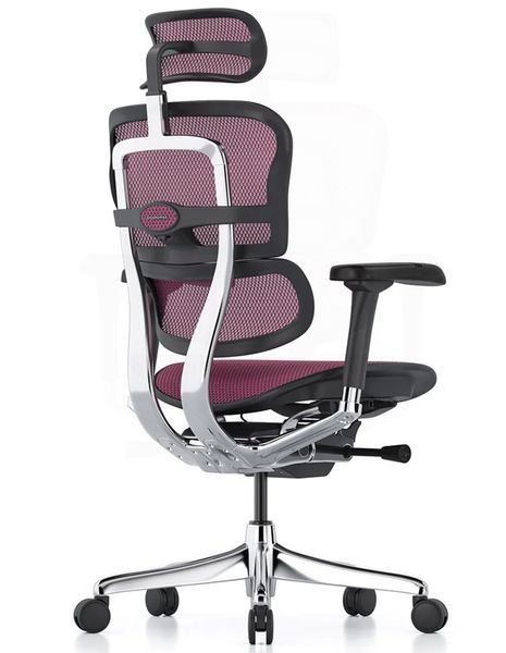 Ергономічне крісло ERGOHUMAN ELITE 2 (EHE2-AB-HAM-5D-L, сітка T-168-B5 Pink) 02740-1 фото