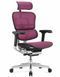 Ергономічне крісло ERGOHUMAN ELITE 2 (EHE2-AB-HAM-5D-L, сітка T-168-B5 Pink) 02740-1 фото 2