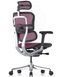 Ергономічне крісло ERGOHUMAN ELITE 2 (EHE2-AB-HAM-5D-L, сітка T-168-B5 Pink) 02740-1 фото 3