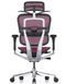 Ергономічне крісло ERGOHUMAN ELITE 2 (EHE2-AB-HAM-5D-L, сітка T-168-B5 Pink) 02740-1 фото 4