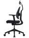 Ергономічне крісло DUOREST D2 BLACK/GREY, ортопедичне, чорний/антрацит 113934 фото 4