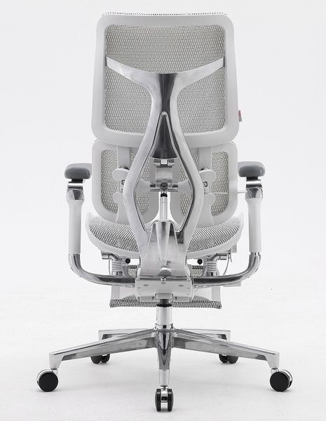 Ергономічне крісло SIHOO DORO-S300 WHITE 03145 фото