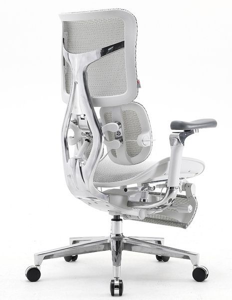 Ергономічне крісло SIHOO DORO-S300 WHITE 03145 фото