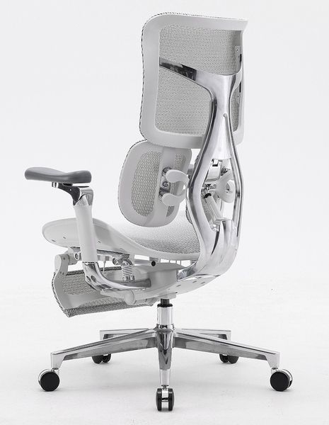 Ергономічне крісло SIHOO DORO-S300 WHITE 03145 фото